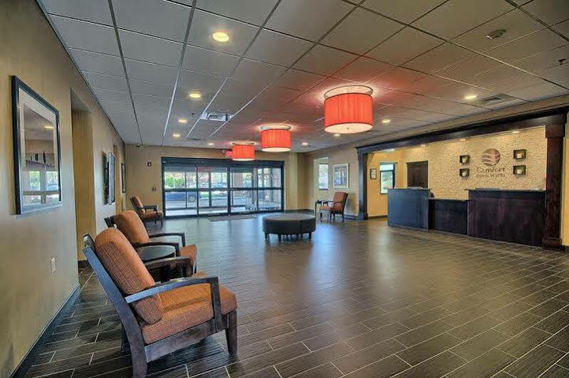 Comfort Inn & Suites Wadsworth Bagian luar foto